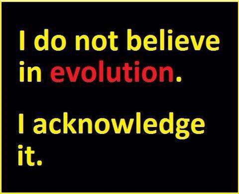 I Do Not Believe In Evolution...